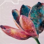 Dicas de segurança cibernética para se proteger na era digital